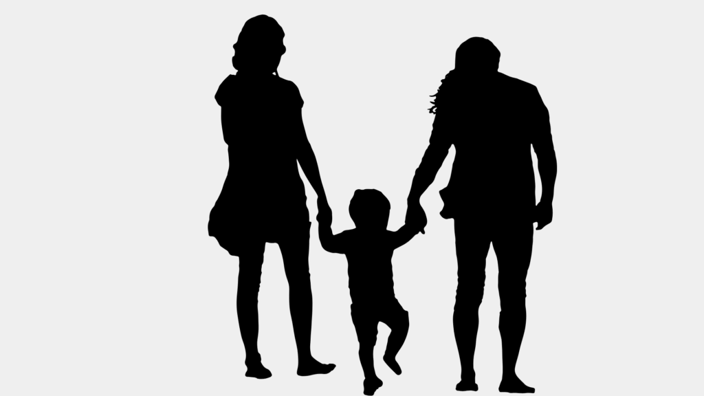 nueva ley de familias